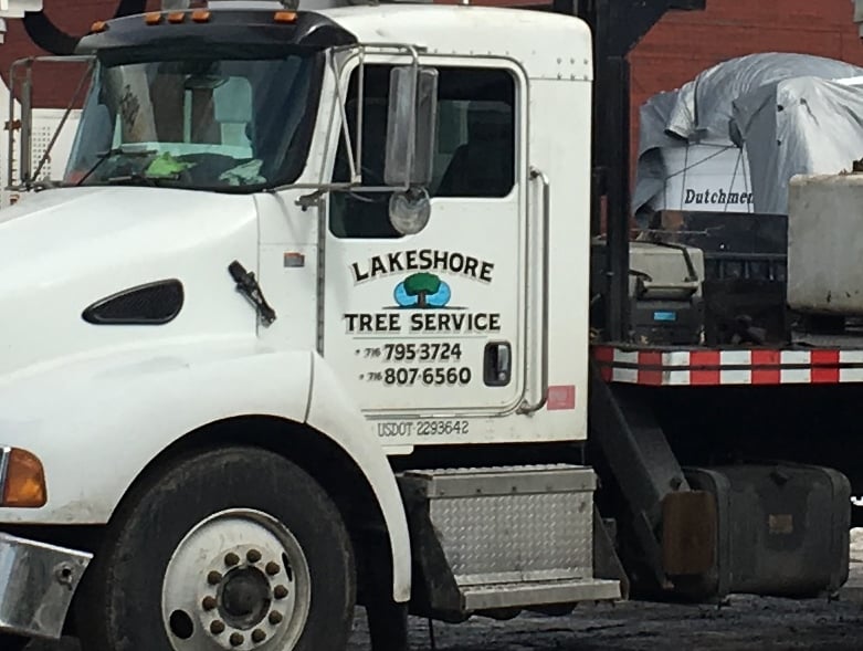 Avatar for Lakeshore Tree Service LLC